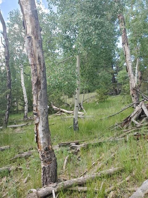 724 Blacksmith Rd, Hartsel, CO 80449 photo 5