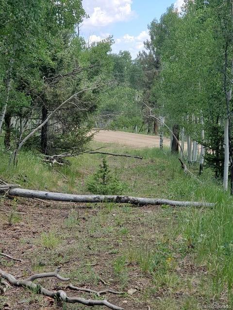 724 Blacksmith Rd, Hartsel, CO 80449 photo 16