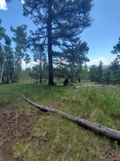 724 Blacksmith Rd, Hartsel, CO 80449 photo 15