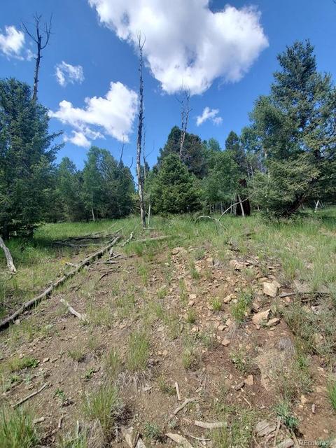 724 Blacksmith Rd, Hartsel, CO 80449 photo 18