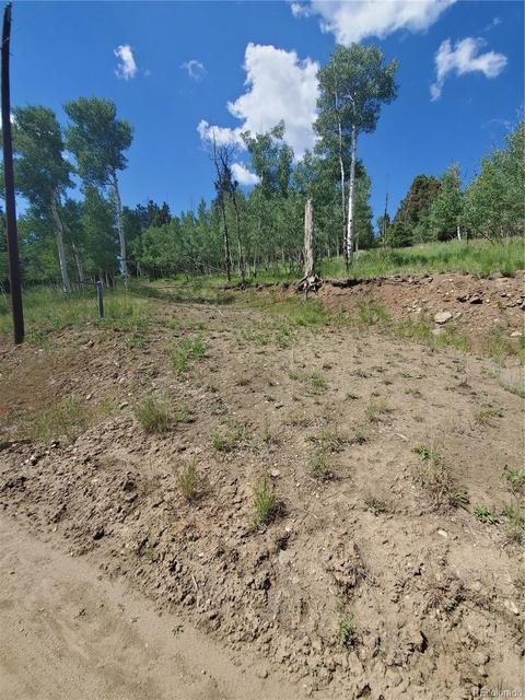 724 Blacksmith Rd, Hartsel, CO 80449 photo 2