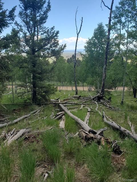 724 Blacksmith Rd, Hartsel, CO 80449 photo 1