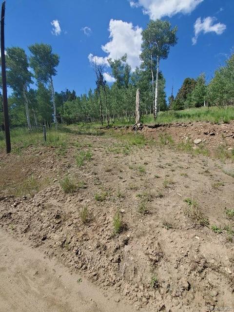 724 Blacksmith Rd, Hartsel, CO 80449 photo 29