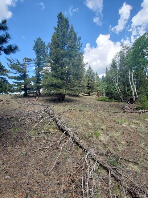 724 Blacksmith Rd, Hartsel, CO 80449 photo 7