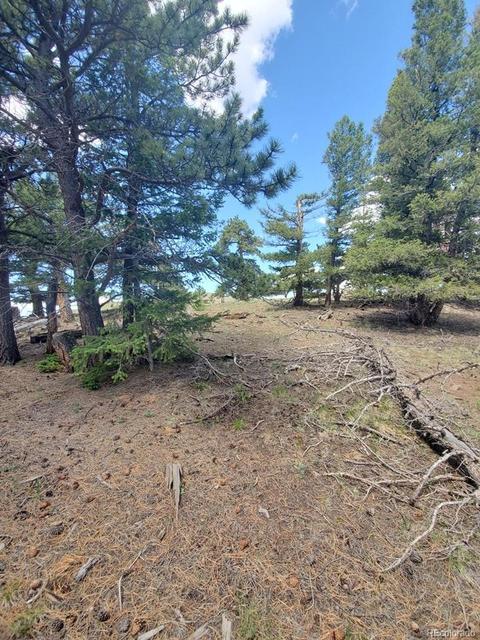 724 Blacksmith Rd, Hartsel, CO 80449 photo 19