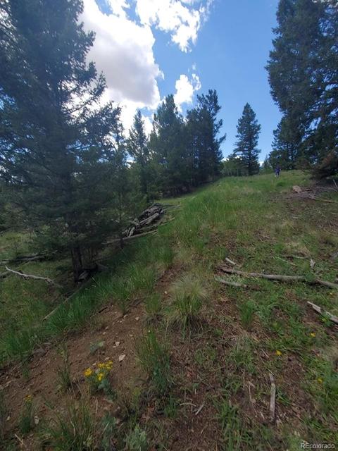 724 Blacksmith Rd, Hartsel, CO 80449 photo 13