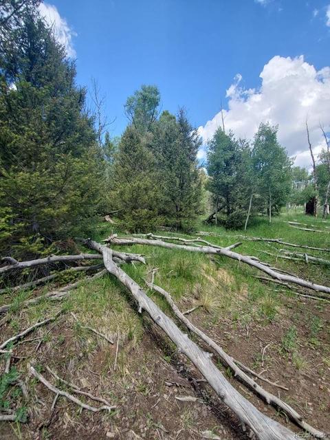 724 Blacksmith Rd, Hartsel, CO 80449 photo 24