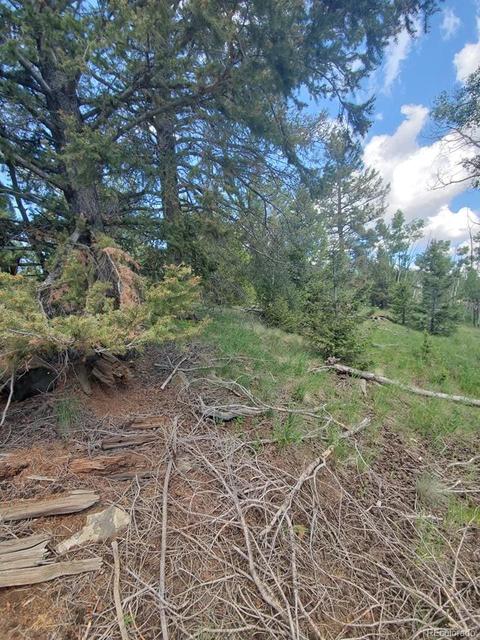 724 Blacksmith Rd, Hartsel, CO 80449 photo 17