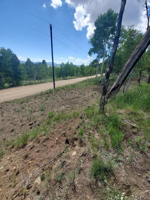 724 Blacksmith Rd, Hartsel, CO 80449 photo 23
