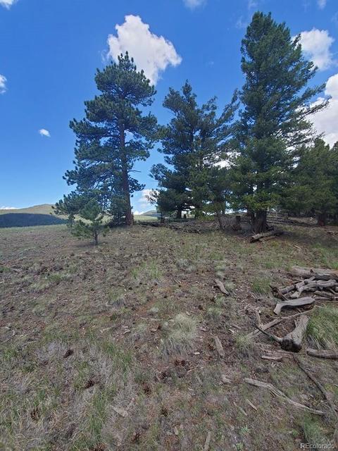 724 Blacksmith Rd, Hartsel, CO 80449 photo 10
