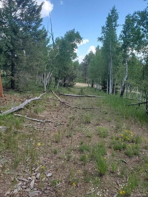 724 Blacksmith Rd, Hartsel, CO 80449 photo 25