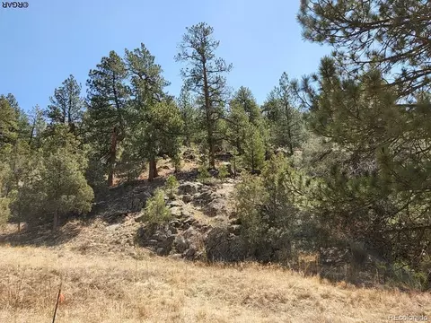 1314 Arnold Dr, Cotopaxi, CO 81223
