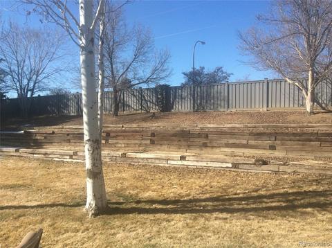800 E 131st Pl, Thornton, CO 80241 photo 20