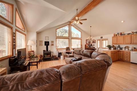 261 Doe Cir, Bailey, CO 80421 photo 8