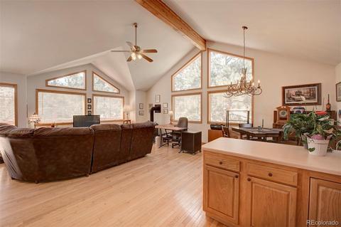 261 Doe Cir, Bailey, CO 80421 photo 3