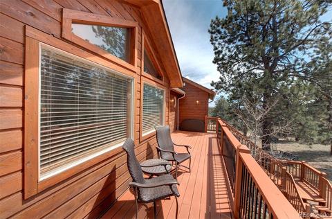 261 Doe Cir, Bailey, CO 80421 photo 18