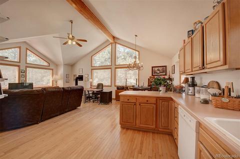 261 Doe Cir, Bailey, CO 80421 photo 6