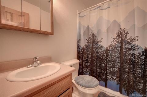 261 Doe Cir, Bailey, CO 80421 photo 14