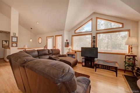 261 Doe Cir, Bailey, CO 80421 photo 7
