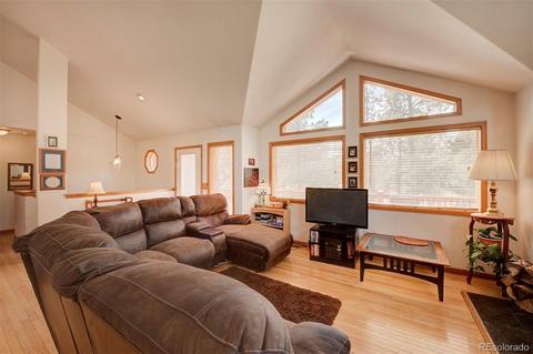 261 Doe Cir, Bailey, CO 80421 photo 9