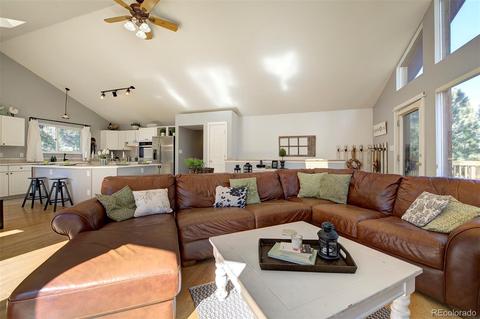 4230 County Road 72, Bailey, CO 80421 photo 8