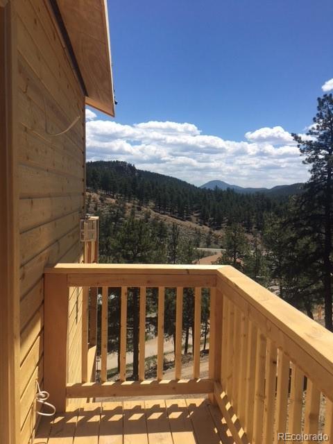 210 Virginia Rd, Bailey, CO 80421 photo 9