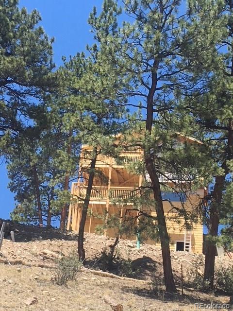210 Virginia Rd, Bailey, CO 80421 photo 19