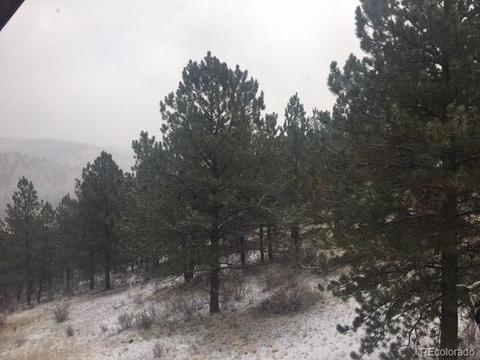 210 Virginia Rd, Bailey, CO 80421 photo 24