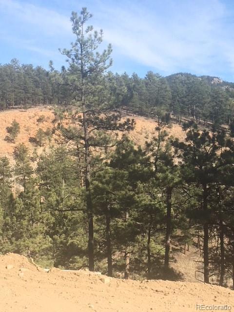 210 Virginia Rd, Bailey, CO 80421 photo 34