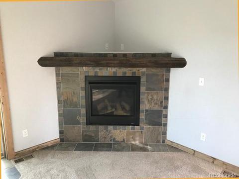 210 Virginia Rd, Bailey, CO 80421 photo 15