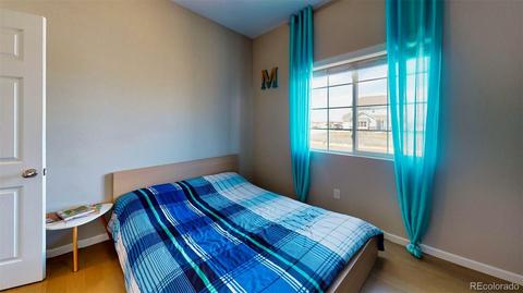 11150 E 163rd Ct, Brighton, CO 80602 photo 18