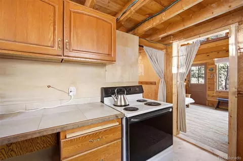 652 Payne Gulch Rd, Bailey, CO 80421 photo 17