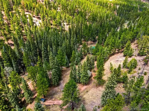 652 Payne Gulch Rd, Bailey, CO 80421 photo 31