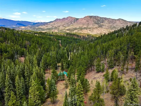 652 Payne Gulch Rd, Bailey, CO 80421 photo 3