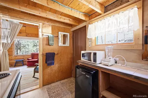 652 Payne Gulch Rd, Bailey, CO 80421 photo 18