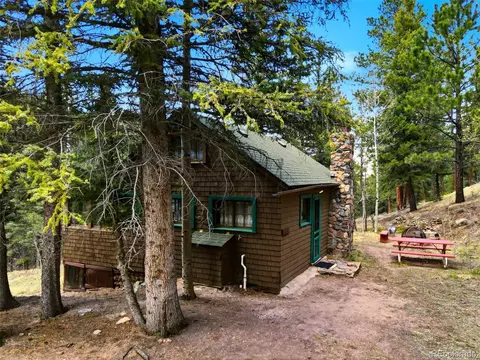 652 Payne Gulch Rd, Bailey, CO 80421 photo 4