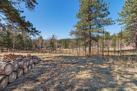 34687 Circle Dr, Pine, CO 80470 photo 18