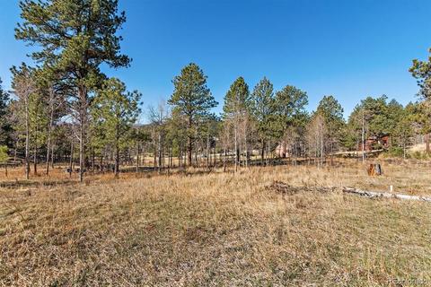 34687 Circle Dr, Pine, CO 80470 photo 17