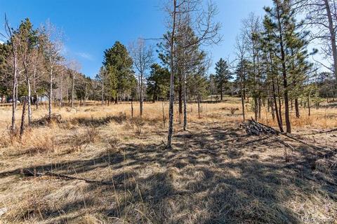34687 Circle Dr, Pine, CO 80470 photo 19
