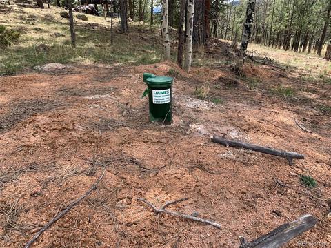 34687 Circle Dr, Pine, CO 80470 photo 3