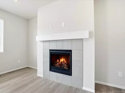 Living - 1606 Nathan River Dr, Windsor, CO 80550 photo 2 of 3