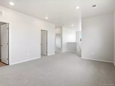 Other - 1606 Nathan River Dr, Windsor, CO 80550 photo 6 of 6