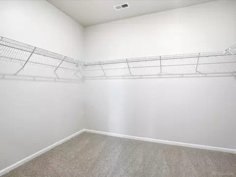 Other - 1606 Nathan River Dr, Windsor, CO 80550 photo 3 of 6