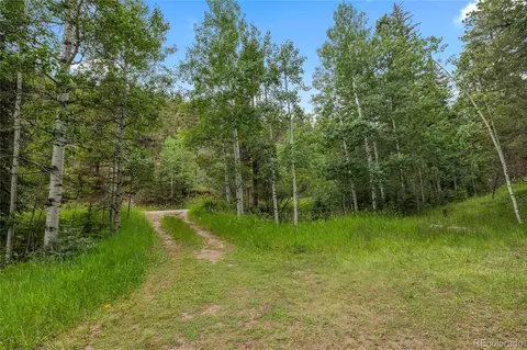 1242 Roland Dr, Bailey, CO 80421 photo 31