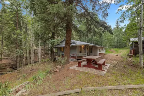 1242 Roland Dr, Bailey, CO 80421 photo 4