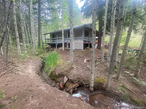 1242 Roland Dr, Bailey, CO 80421 photo 2