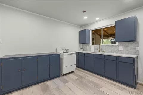 1242 Roland Dr, Bailey, CO 80421 photo 9
