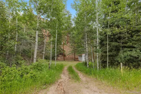 1242 Roland Dr, Bailey, CO 80421 photo 30
