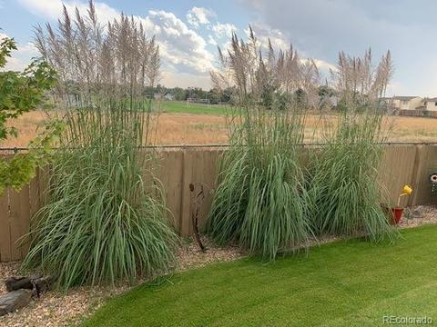 5362 E 125th Dr, Thornton, CO 80241 photo 31