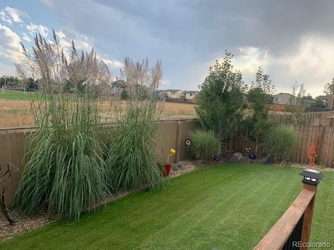 5362 E 125th Dr, Thornton, CO 80241 photo 30